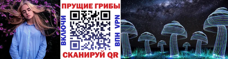 Псилоцибиновые грибы Magic Shrooms  Правдинск 